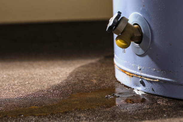 Best Local water damage restoration  in Riverdale, IL