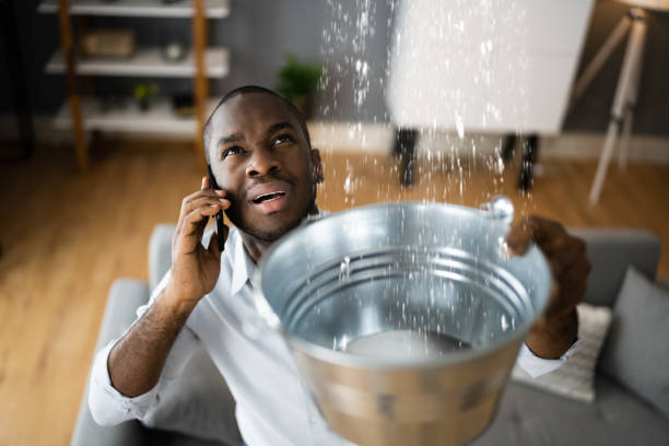 Best Flooded house restoration  in Riverdale, IL