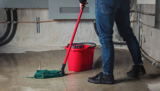 Best Ceiling water damage repair  in Riverdale, IL