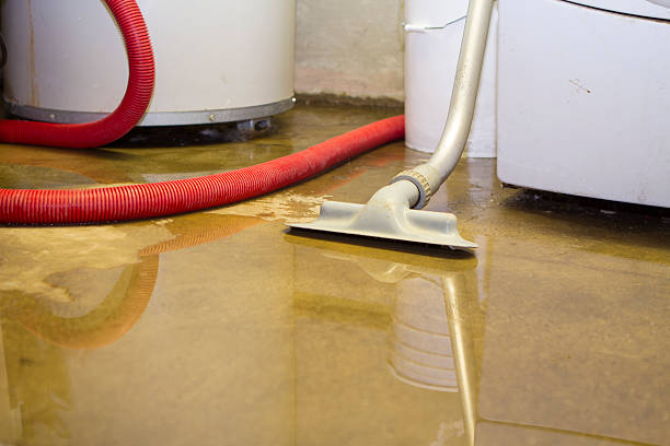 24/7 water damage repair in IL