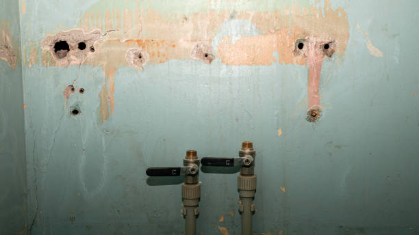 Best Carpet water damage restoration  in Riverdale, IL
