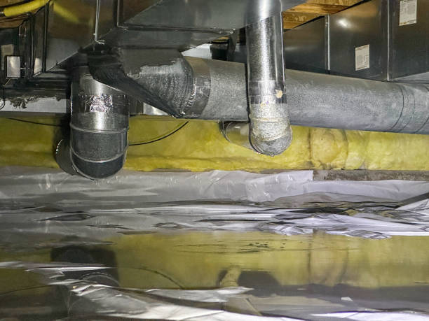 Best 24/7 water damage repair  in Riverdale, IL
