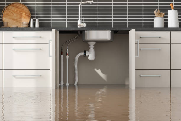 , IL Water damage restoration Company