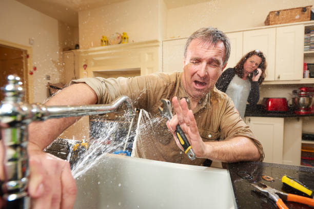 Best Water damage cleanup near me  in Riverdale, IL